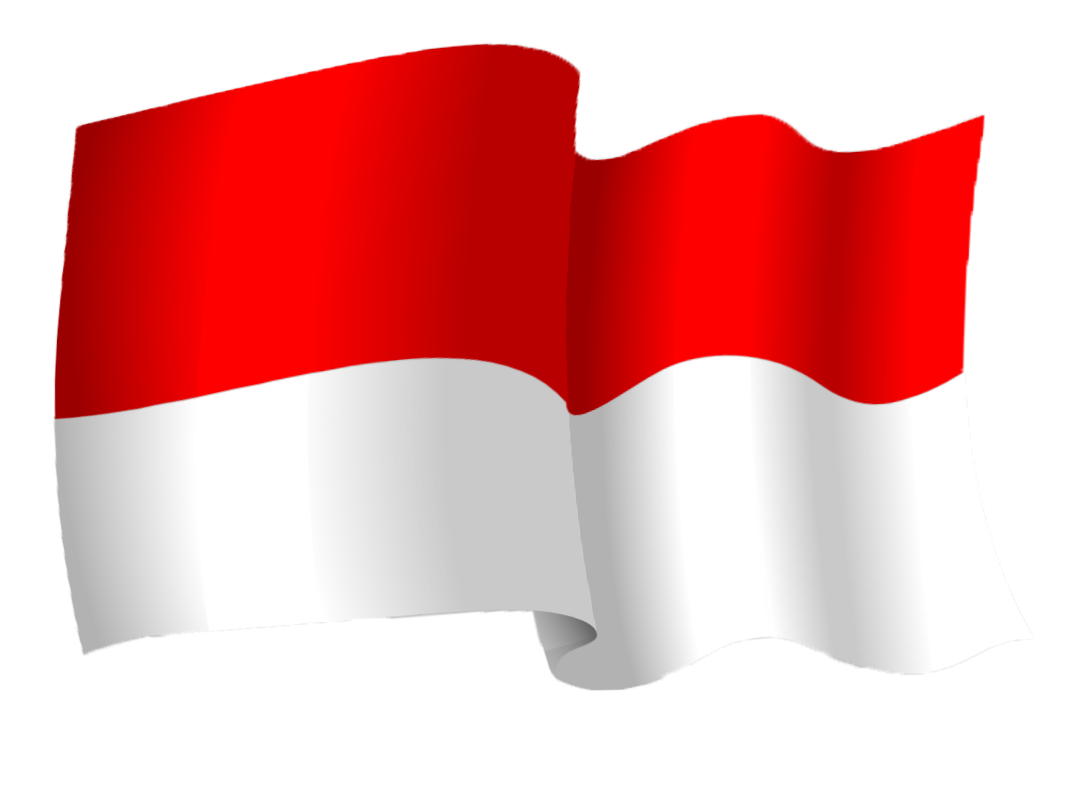Exclusive IPTV Service in Indonesia