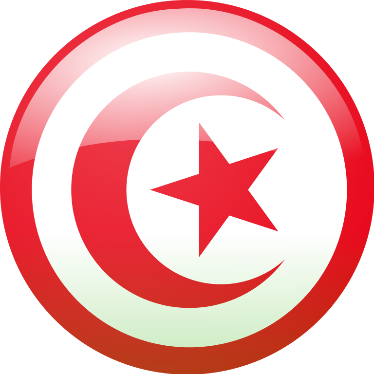 Best IPTV Services in Tunisia 2025